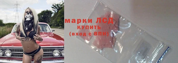спайс Касимов