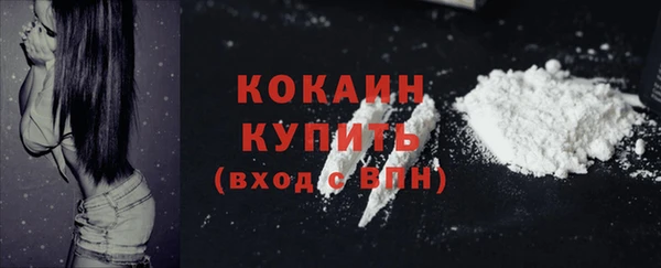 спайс Касимов