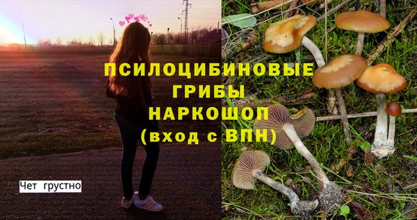 Альфа ПВП Киренск
