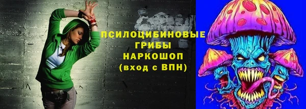 спайс Касимов