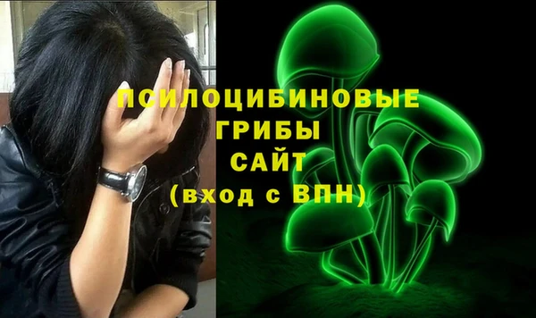 спайс Касимов