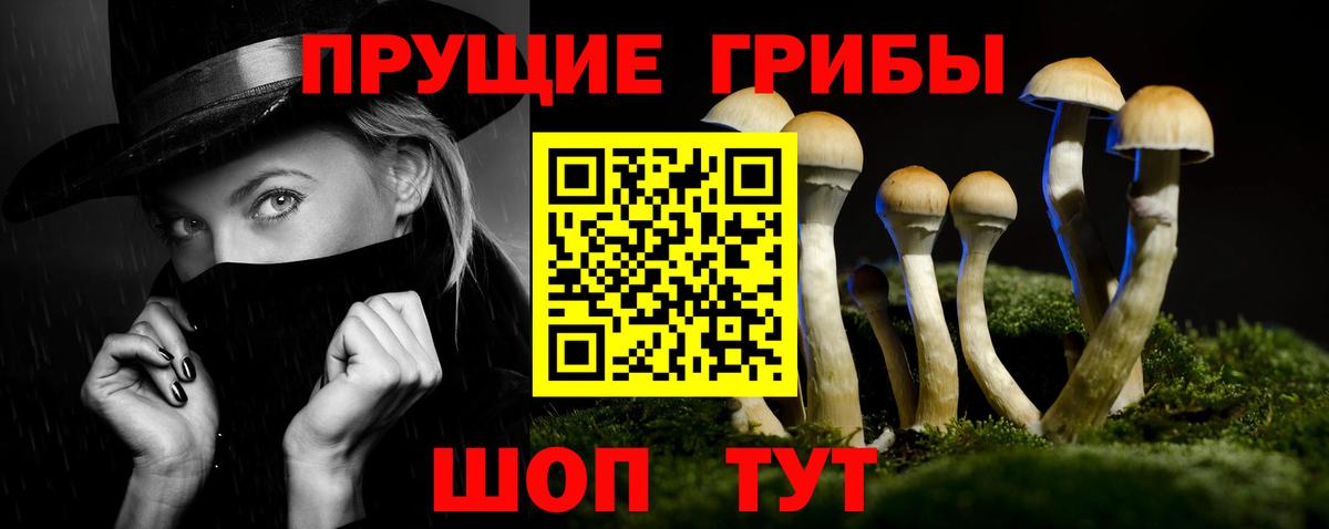 Галлюциногенные грибы Magic Shrooms Тихорецк